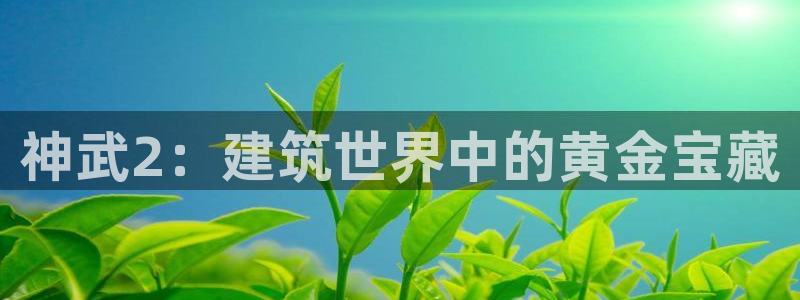 威九国际78mb特点：神武2：建筑世界中的黄金宝藏