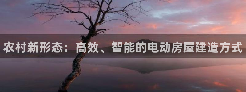 威九国际v96bet官网版：农村新形态：高效、智能的电动房屋建造方式