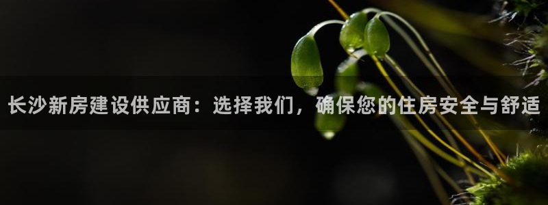 威九国际78mb游戏：长沙新房建设供应商：选择我们，确保您的住房安全与舒适