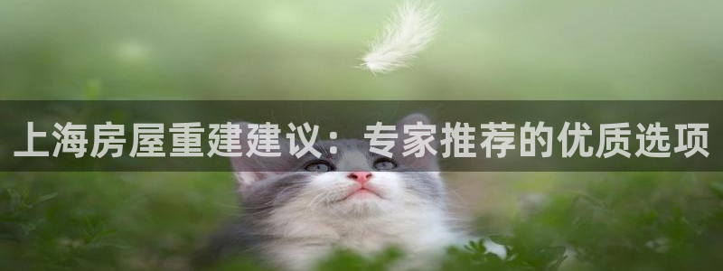 威九国际H：上海房屋重建建议：专家推荐的优质选项