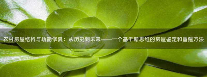 威九国际78mapp官网版下载：农村房屋结构与功能修复：从历史到未来——一个基于新思维的房屋鉴定和重