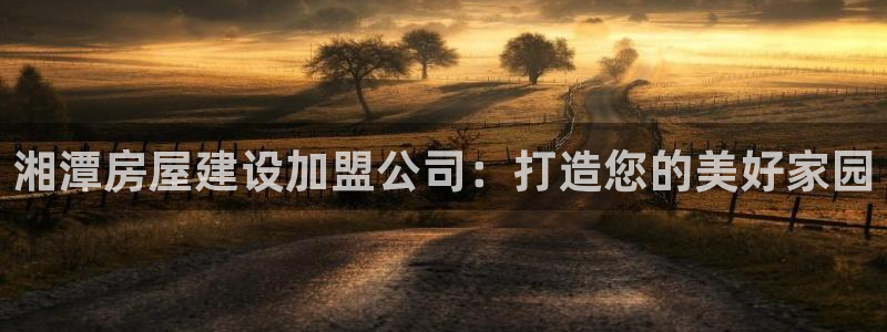 威九国际第一页：湘潭房屋建设加盟公司：打造您的美好家园
