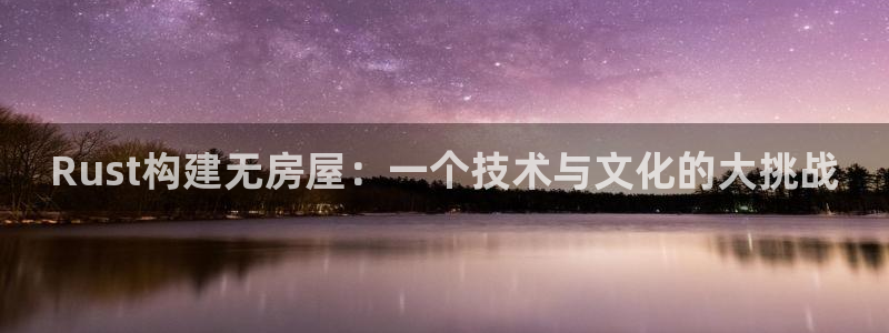 威九国际ppt官网：Rust构建无房屋：一个技术与文化的大挑战