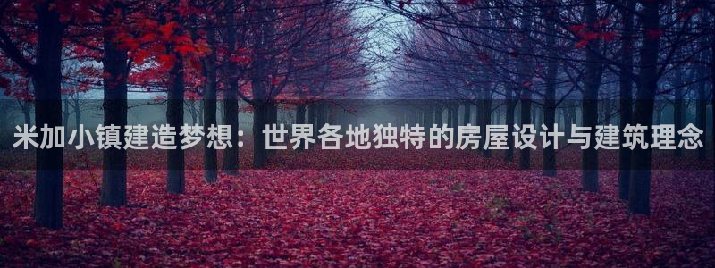 威九国际惠子：米加小镇建造梦想：世界各地独特的房屋设计与建筑理念