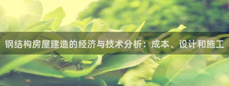 威九国际在哪里：钢结构房屋建造的经济与技术分析：成本、设计和施工