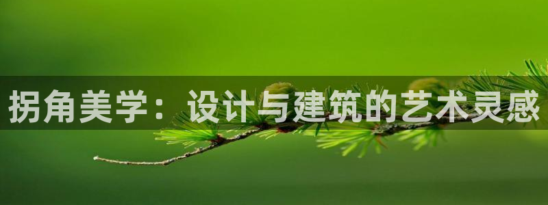78m.ppt威九国际官网版：拐角美学：设计与建筑的艺术灵感