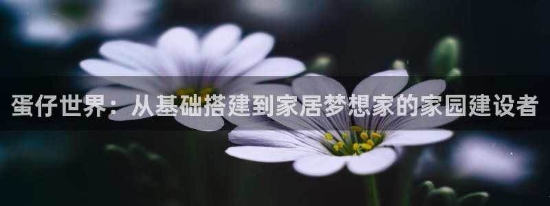 威九国际官网登录入口网址：蛋仔世界：从基础搭建到家居梦想家的家园建设者