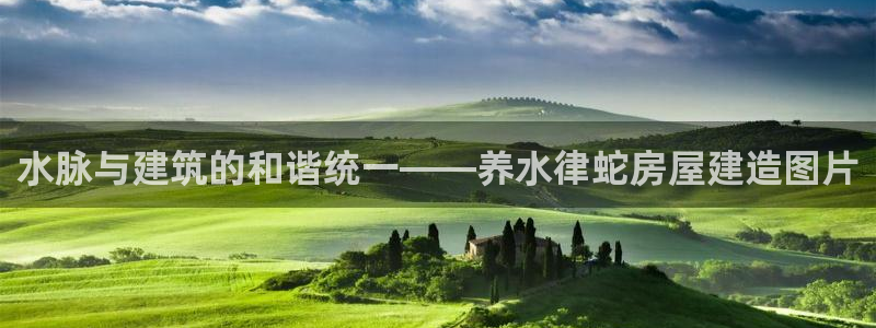 威九国际合作伙伴有哪些：水脉与建筑的和谐统一——养水律蛇房屋建造图片