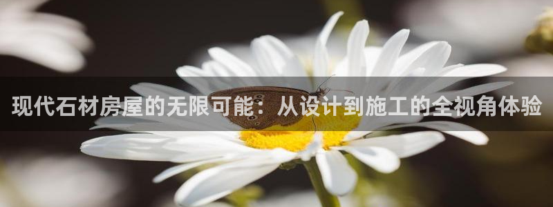 威九国际黄威尼斯：现代石材房屋的无限可能：从设计到施工的全视角体验