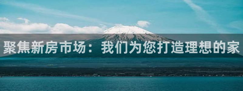 威九国际网站入口地址查询：聚焦新房市场：我们为您打造理想的家