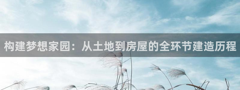 威九国际狂飚电影：构建梦想家园：从土地到房屋的全环节建造历程