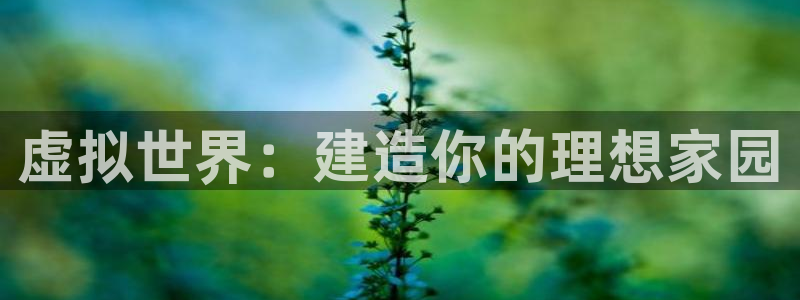 威九国际演员2023年最新作品：虚拟世界：建造你的理想家园