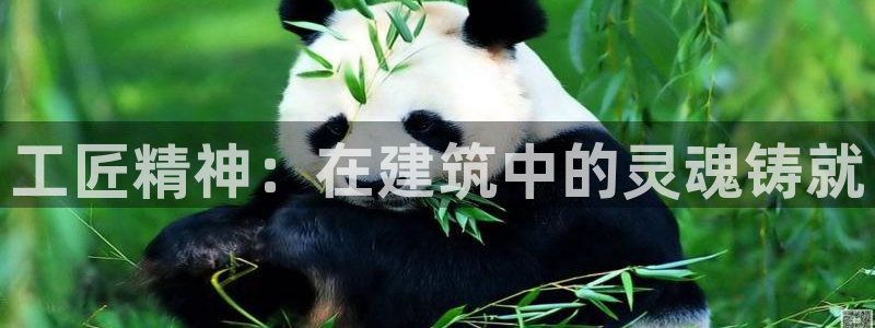威九国际瘫痪丈夫眼见证：工匠精神：在建筑中的灵魂铸就