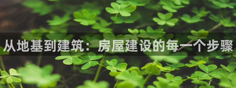 威九国际网站安全吗：从地基到建筑：房屋建设的每一个步骤