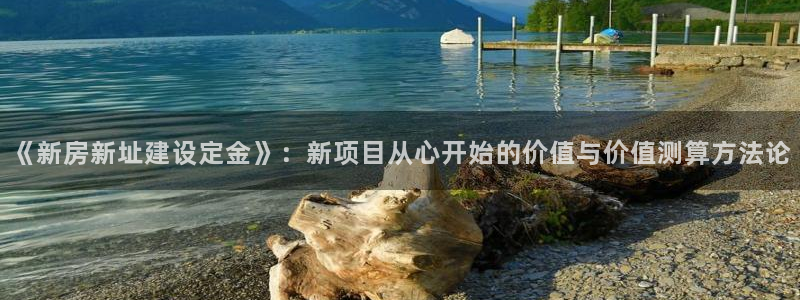 威九国际官网登录入口下载：《新房新址建设定金》：新项目从心开始的价值与价值测算方法论