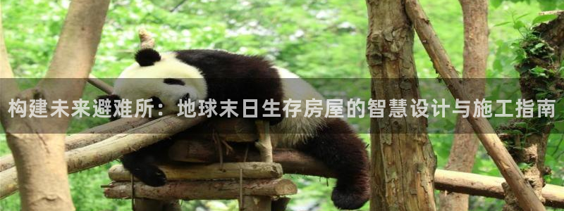 威九国际官网版下载：构建未来避难所：地球末日生存房屋的智慧设计与施工指南