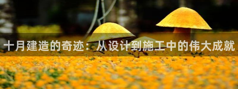 威九国际78map.p：十月建造的奇迹：从设计到施工中的伟大成就